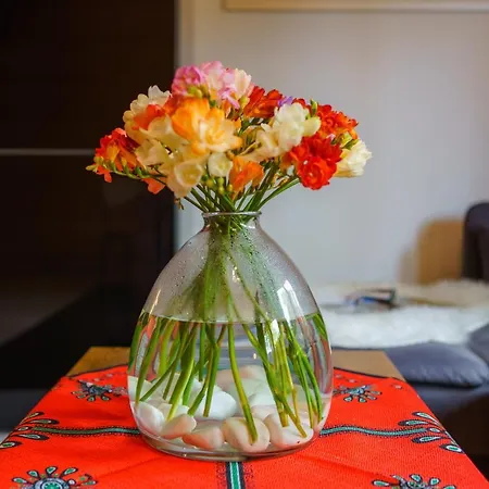 Swarne Alpesi faház *