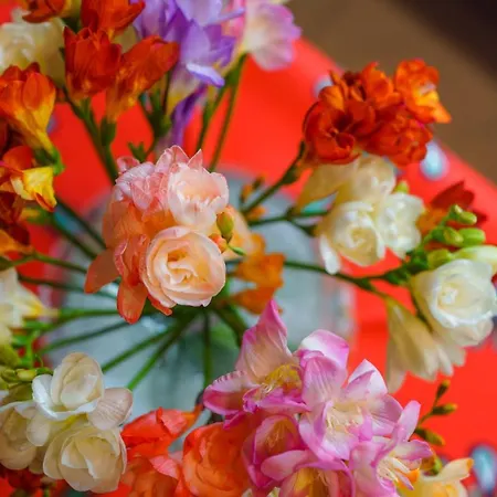 Swarne Chalet Zakopane