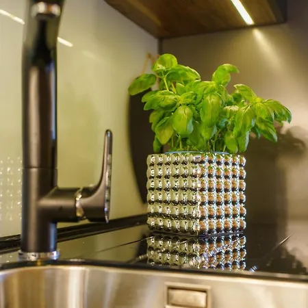 Alpesi faház Swarne *